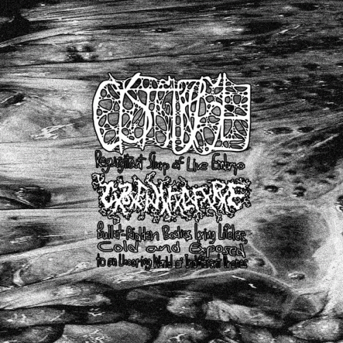 Cystgurgle : CxBxFxIxHxFxLxFxRxE - Cystgurgle Cystgurgle : CxBxFxIxHxFxLxFxRxE - Cystgurgle